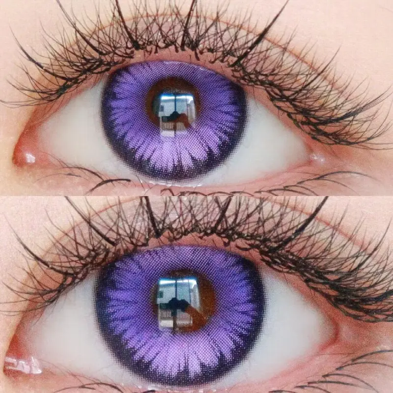 EyeLensy Icy Petal Purple | 6 Months