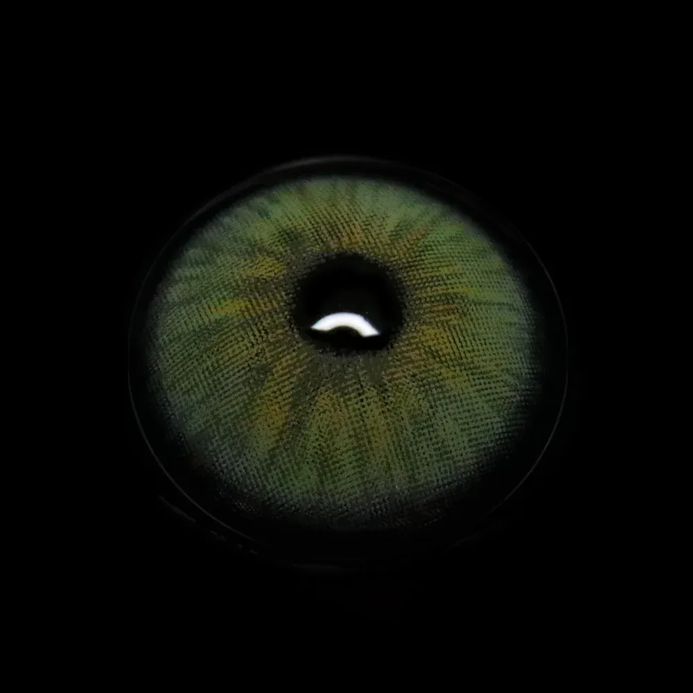 EyeLensy Angeles N Green | 1 Year